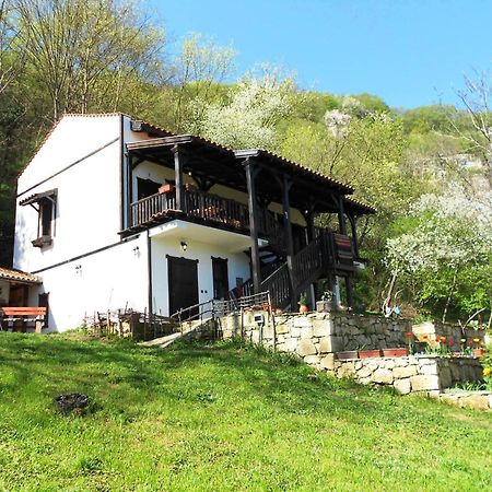 Milkovata Guest House Koshov Exterior foto